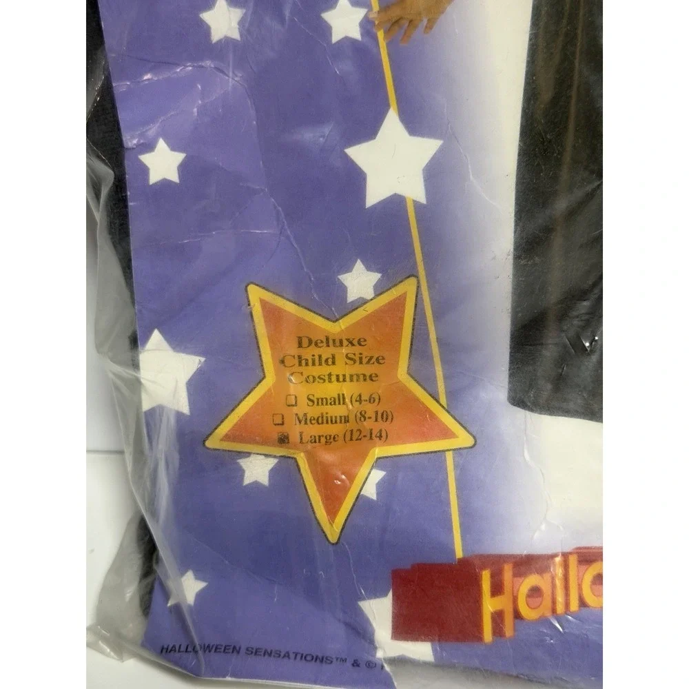 Pretty Witch Halloween Costume Size 12-14 H-1